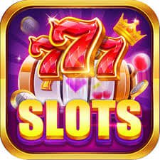 bets 7